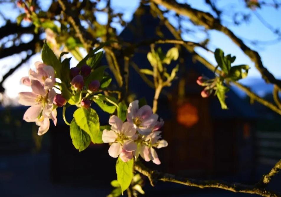 Apple Blossom Glamping 基尔根尼 外观 照片